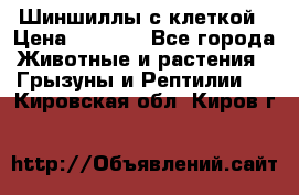 Шиншиллы с клеткой › Цена ­ 8 000 - Все города Животные и растения » Грызуны и Рептилии   . Кировская обл.,Киров г.